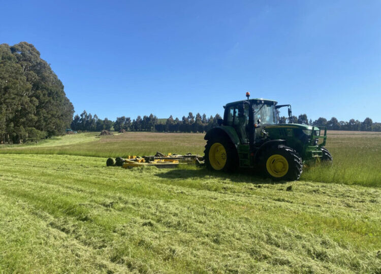 slashing and hay baling services