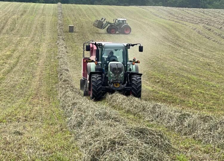 slashing grass in field